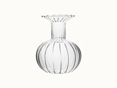 Transparent Special Shape Glass Vase